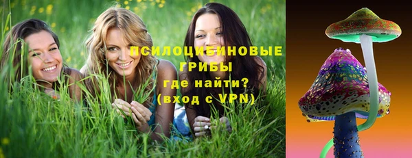 mdpv Белокуриха