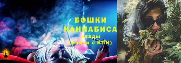 mdpv Белокуриха