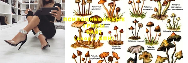 дурь Белоозёрский