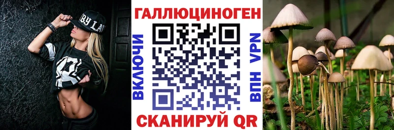 Псилоцибиновые грибы мухоморы  сайты даркнета как зайти  Светлогорск  MEGA зеркало 